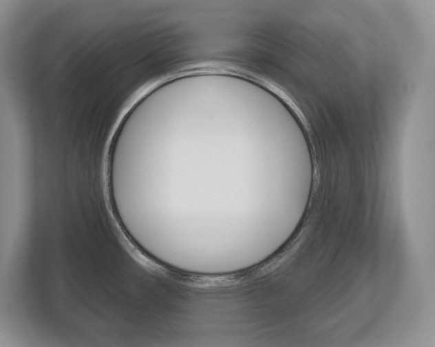X0000113181482200909040944