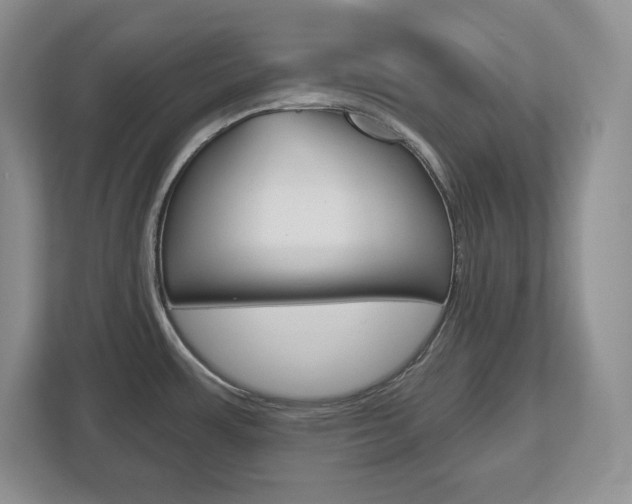 X0000113181483200909040944