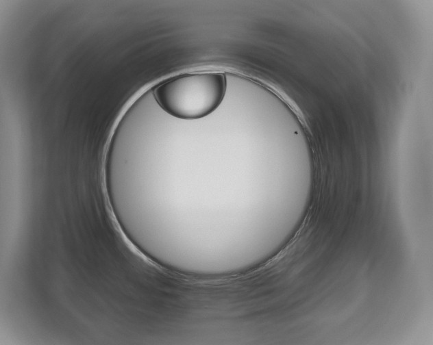 X0000113181484200909040944