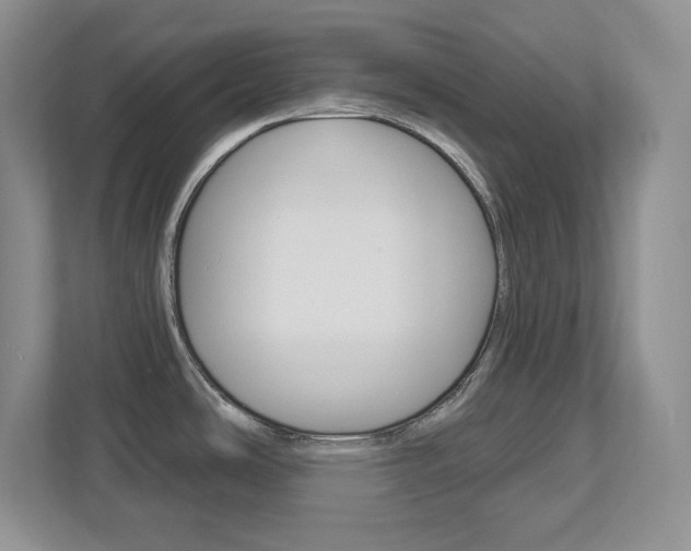 X0000113181486200909040944