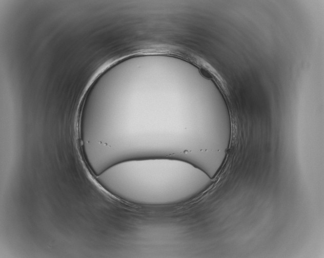 X0000113181487200909040944