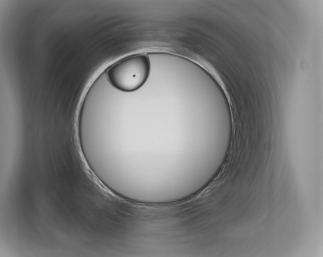 X0000113181488200909040944