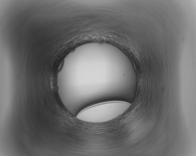 X0000113181490200909040943
