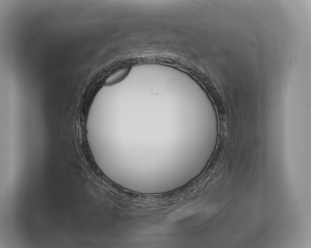 X0000113181493200909040943