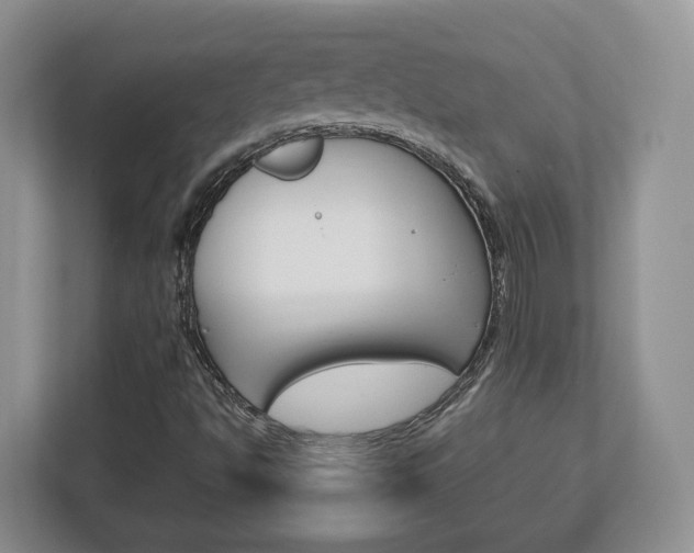 X0000113181494200909040943