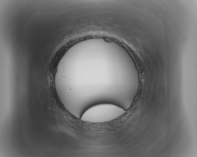 X0000113181495200909040943