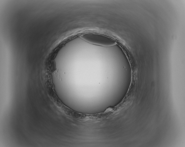 X0000113181496200909040943