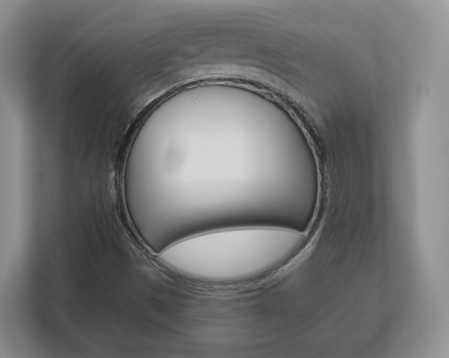 X0000113181497200909040943