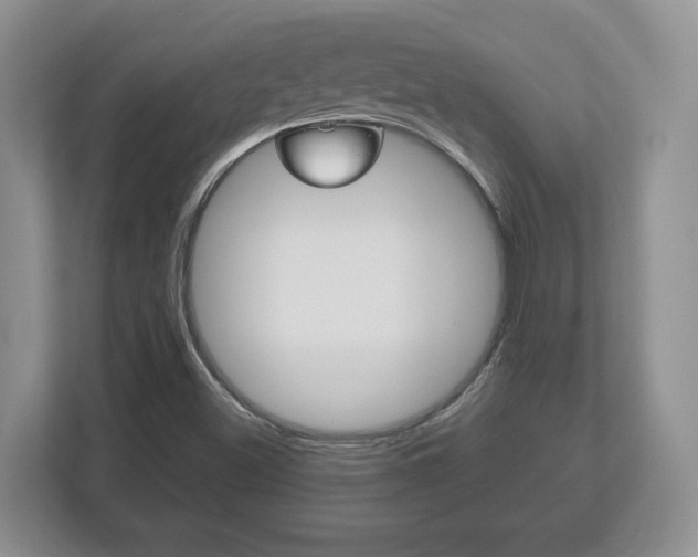 X0000113181500200909040943