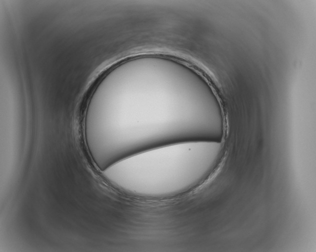 X0000113181501200909040943