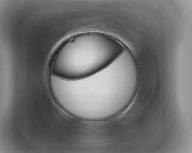 X0000113181502200909040943
