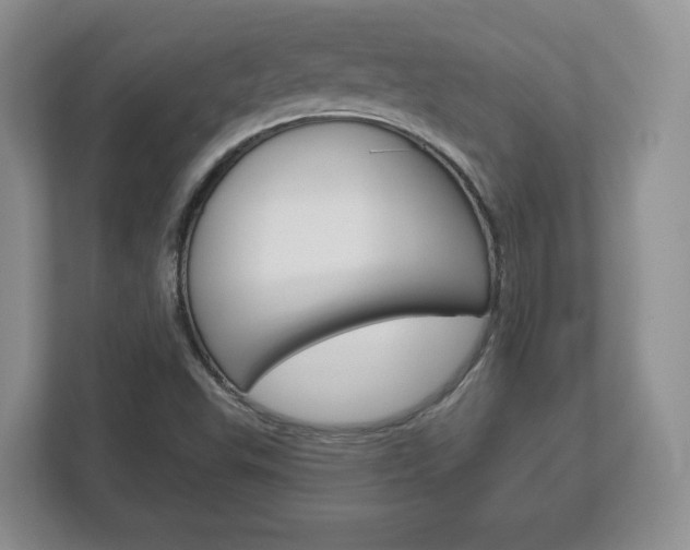 X0000113181503200909040943