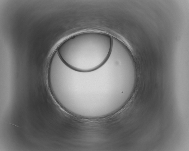 X0000113181504200909040943