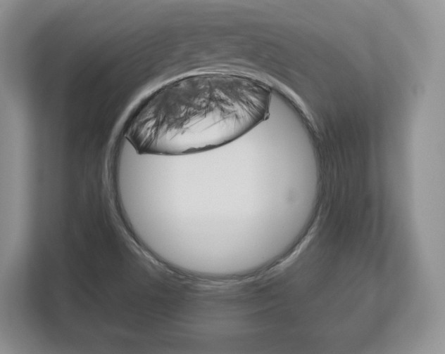 X0000113181506200909040943
