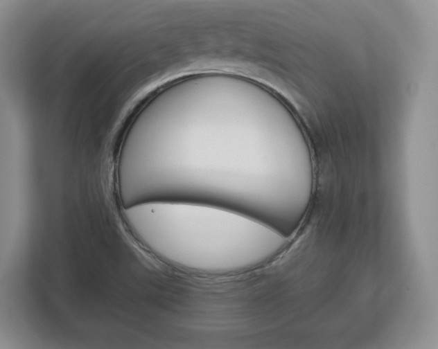 X0000113181507200909040943