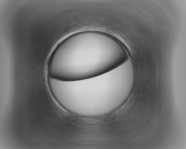 X0000113181508200909040943