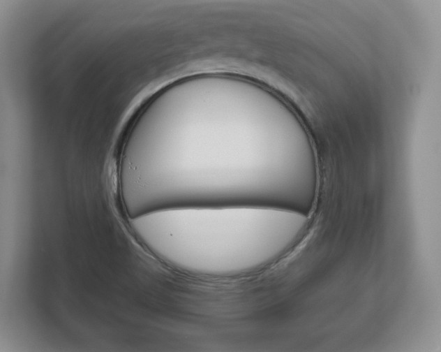 X0000113181509200909040943