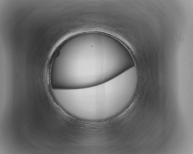 X0000113181510200909040943