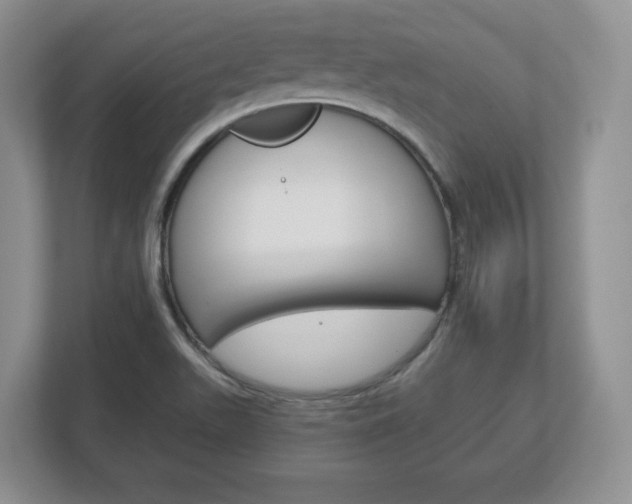 X0000113181511200909040943