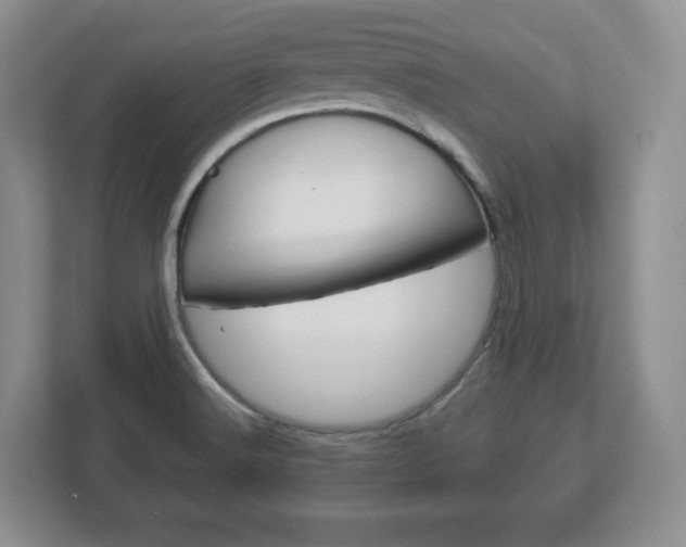 X0000113181516200909040944