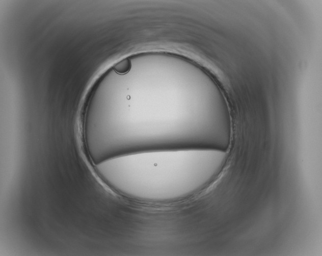 X0000113181517200909040944