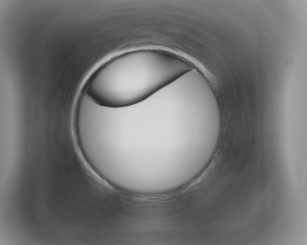 X0000113181518200909040944