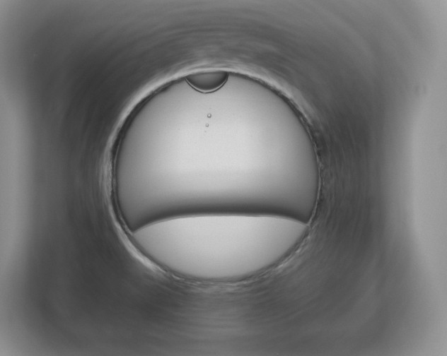 X0000113181519200909040944
