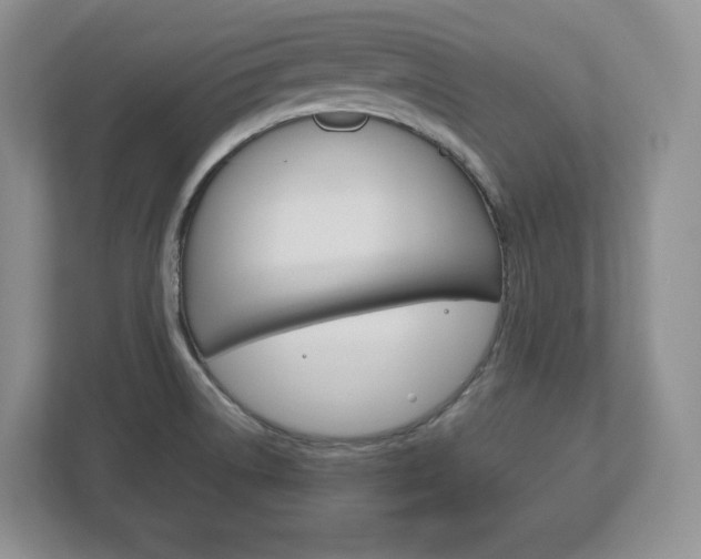 X0000113181522200909040944