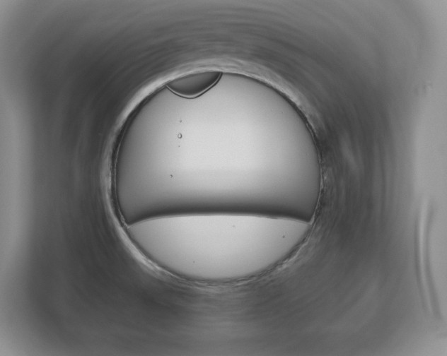 X0000113181523200909040944
