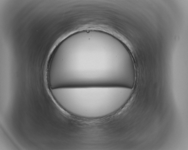X0000113181525200909040944