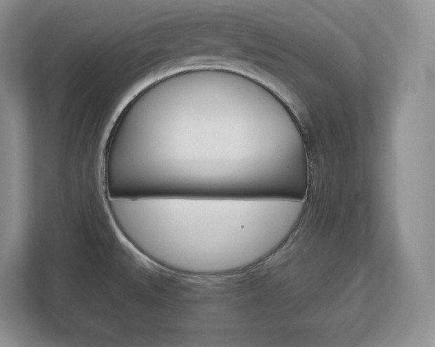 X0000113181527200909040944