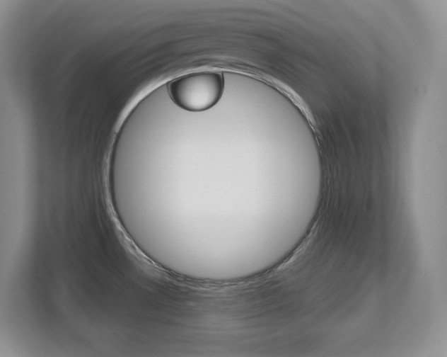 X0000113181530200909040944