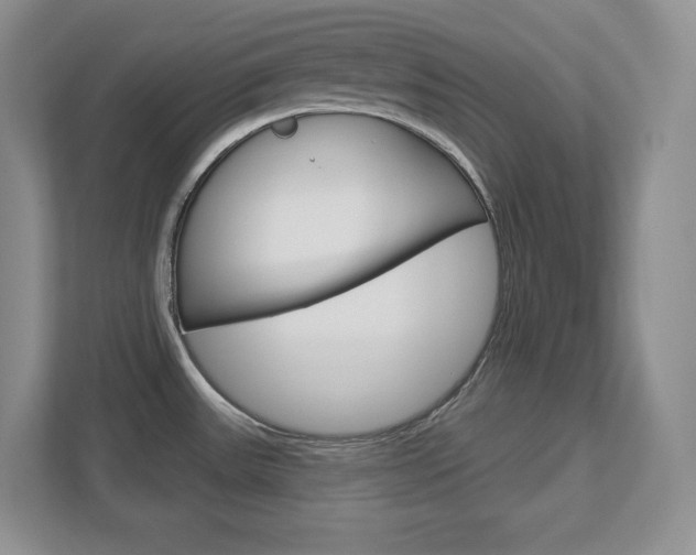X0000113181531200909040944
