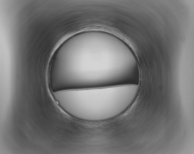 X0000113181533200909040944