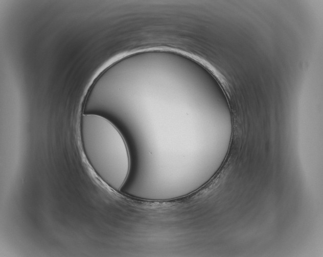 X0000113181534200909040944