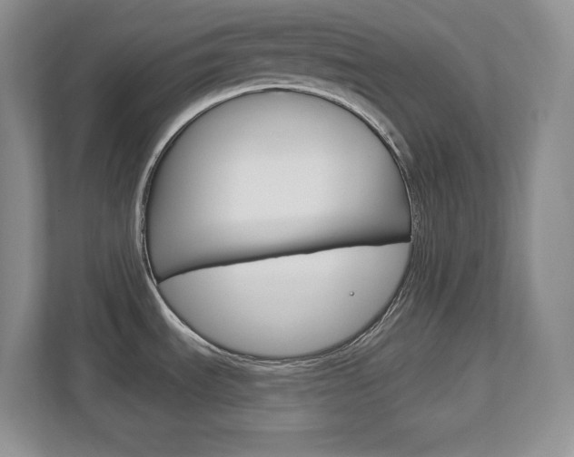 X0000113181535200909040944