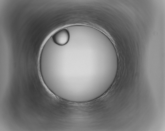 X0000113181536200909040944