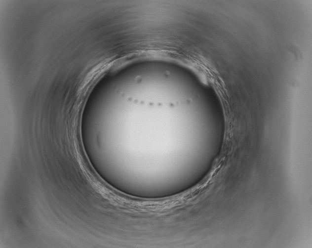 X0000113180001200909041353