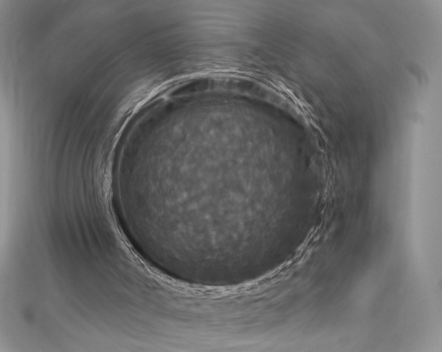 X0000113180002200909041353
