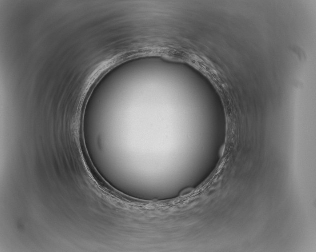 X0000113180003200909041353