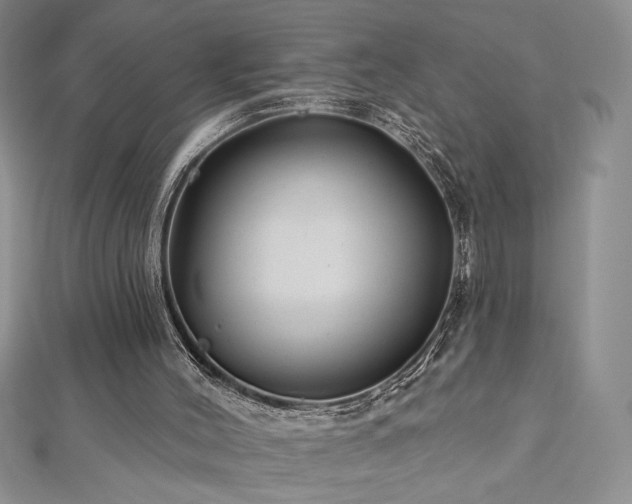 X0000113180004200909041353