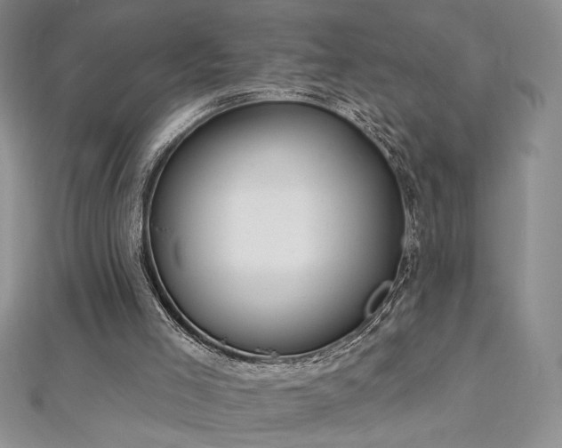 X0000113180005200909041353