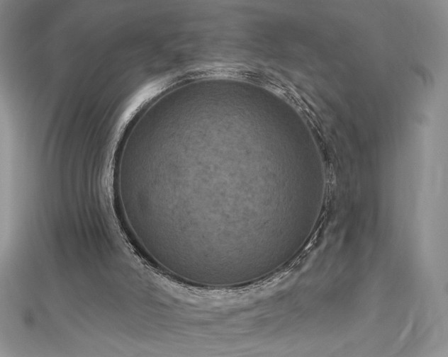 X0000113180006200909041353