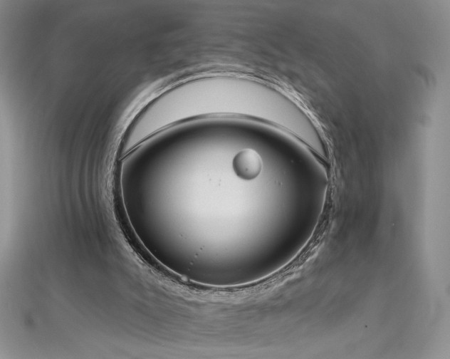 X0000113180007200909041353