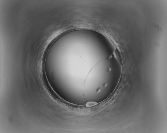 X0000113180008200909041353