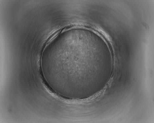 X0000113180009200909041353