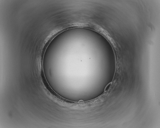 X0000113180011200909041353