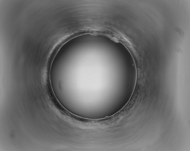 X0000113180012200909041353