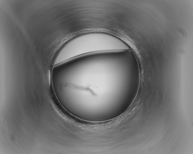 X0000113180013200909041353