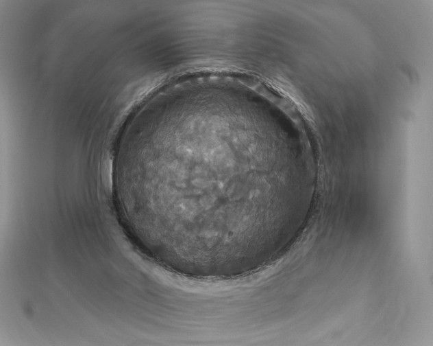 X0000113180014200909041353